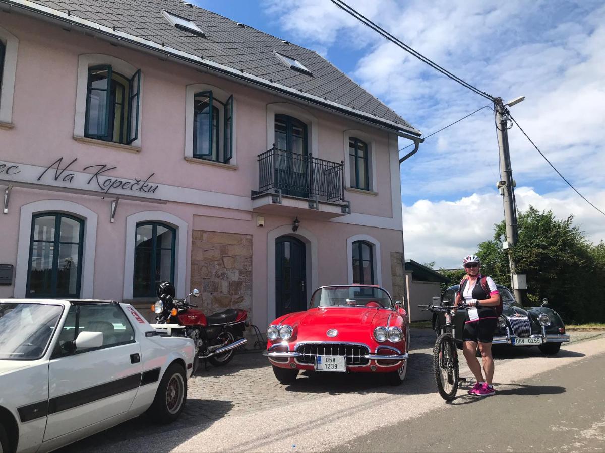 Na Kopecku Ad 1795 - Penzion S Restauraci A Wellness V Podkrkonosi Dvůr Králové nad Labem 外观 照片