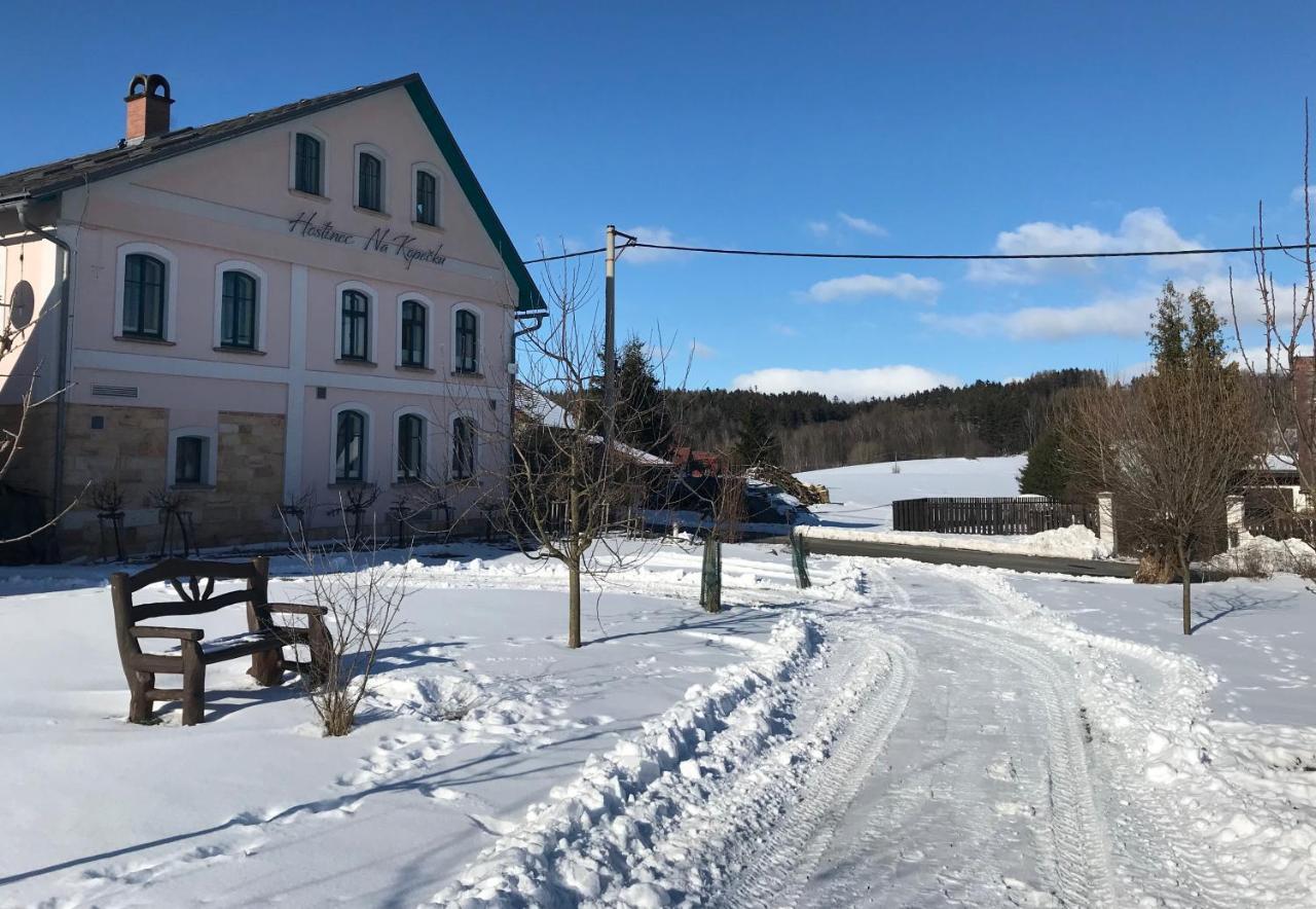 Na Kopecku Ad 1795 - Penzion S Restauraci A Wellness V Podkrkonosi Dvůr Králové nad Labem 外观 照片